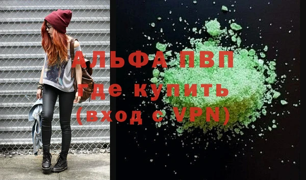 ГАЛЛЮЦИНОГЕННЫЕ ГРИБЫ Козловка