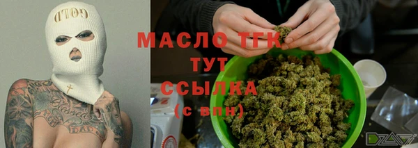 ГАЛЛЮЦИНОГЕННЫЕ ГРИБЫ Козловка
