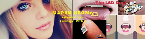 ГАЛЛЮЦИНОГЕННЫЕ ГРИБЫ Козловка