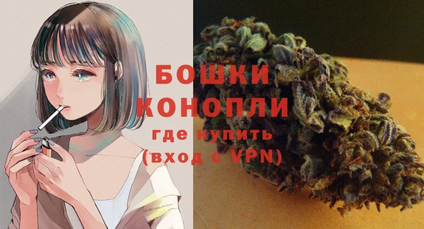 дурь Кодинск