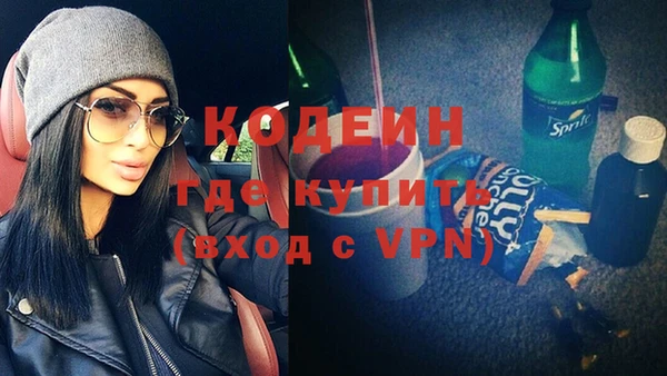 ГАЛЛЮЦИНОГЕННЫЕ ГРИБЫ Козловка
