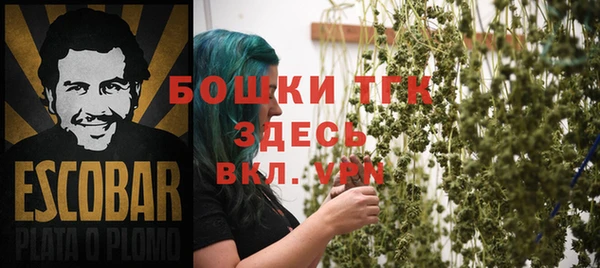 ГАЛЛЮЦИНОГЕННЫЕ ГРИБЫ Козловка