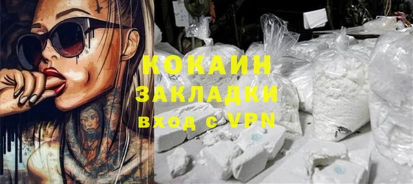 ГАЛЛЮЦИНОГЕННЫЕ ГРИБЫ Козловка