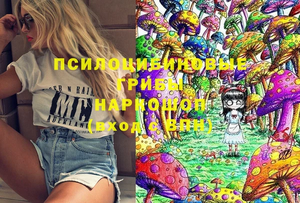 дурь Кодинск