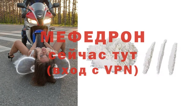 ГАЛЛЮЦИНОГЕННЫЕ ГРИБЫ Козловка