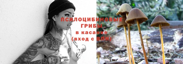ГАЛЛЮЦИНОГЕННЫЕ ГРИБЫ Козловка