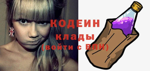 ГАЛЛЮЦИНОГЕННЫЕ ГРИБЫ Козловка