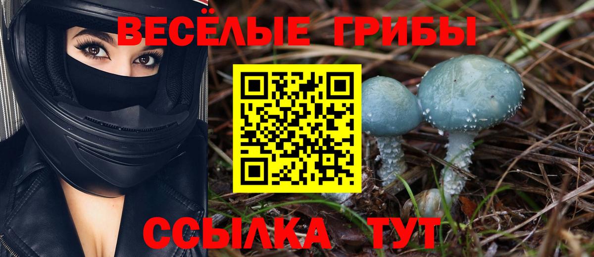 Пушкино  Галлюциногенные грибы мухоморы  Вход с VPN 