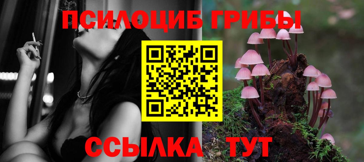 Псилоцибиновые грибы мицелий Пушкино