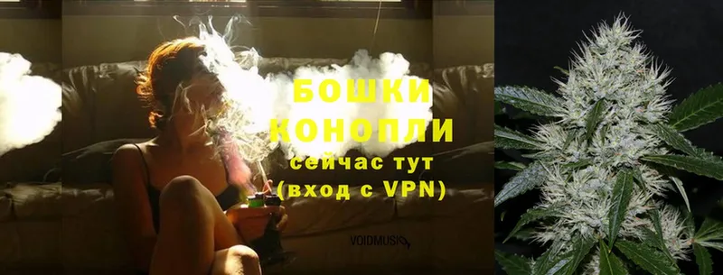 ссылка на мегу онион  где купить   Пушкино  Бошки марихуана SATIVA & INDICA 